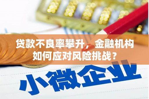 玉林贷款不良率攀升，金融机构如何应对风险挑战？