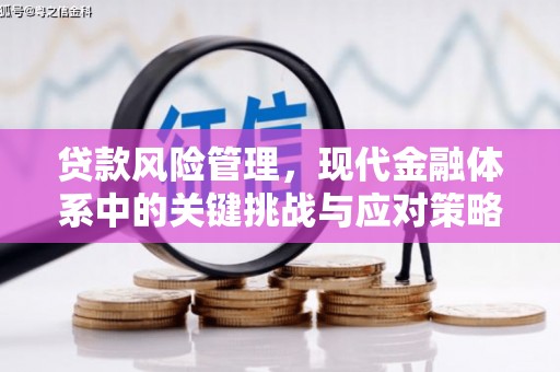 天镇贷款风险管理，现代金融体系中的关键挑战与应对策略
