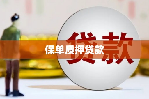 开平保单质押贷款
