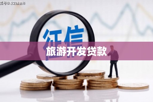 大渡口旅游开发贷款