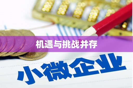 晋江机遇与挑战并存 晋江机遇与挑战并存
