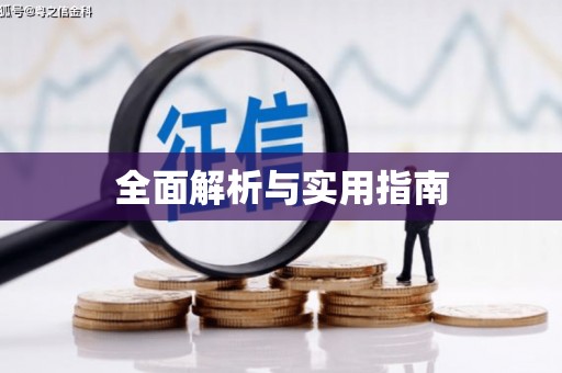 廉江全面解析与实用指南
