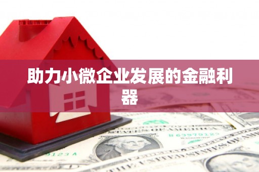 澧县助力小微企业发展的金融利器