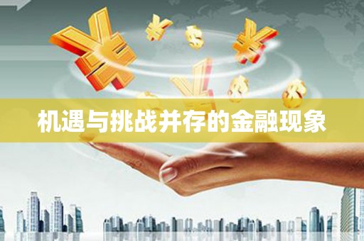 汾阳机遇与挑战并存的金融现象
