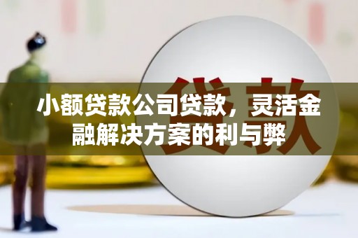 临夏小额贷款公司贷款，灵活金融解决方案的利与弊